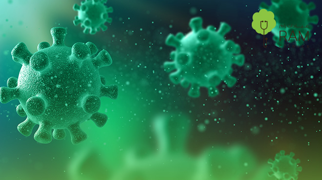 فوائد-البكتيريا-النافعة