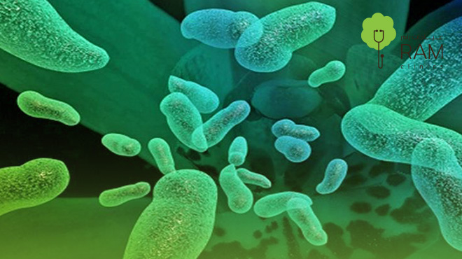 فوائد-البكتيريا-النافعة